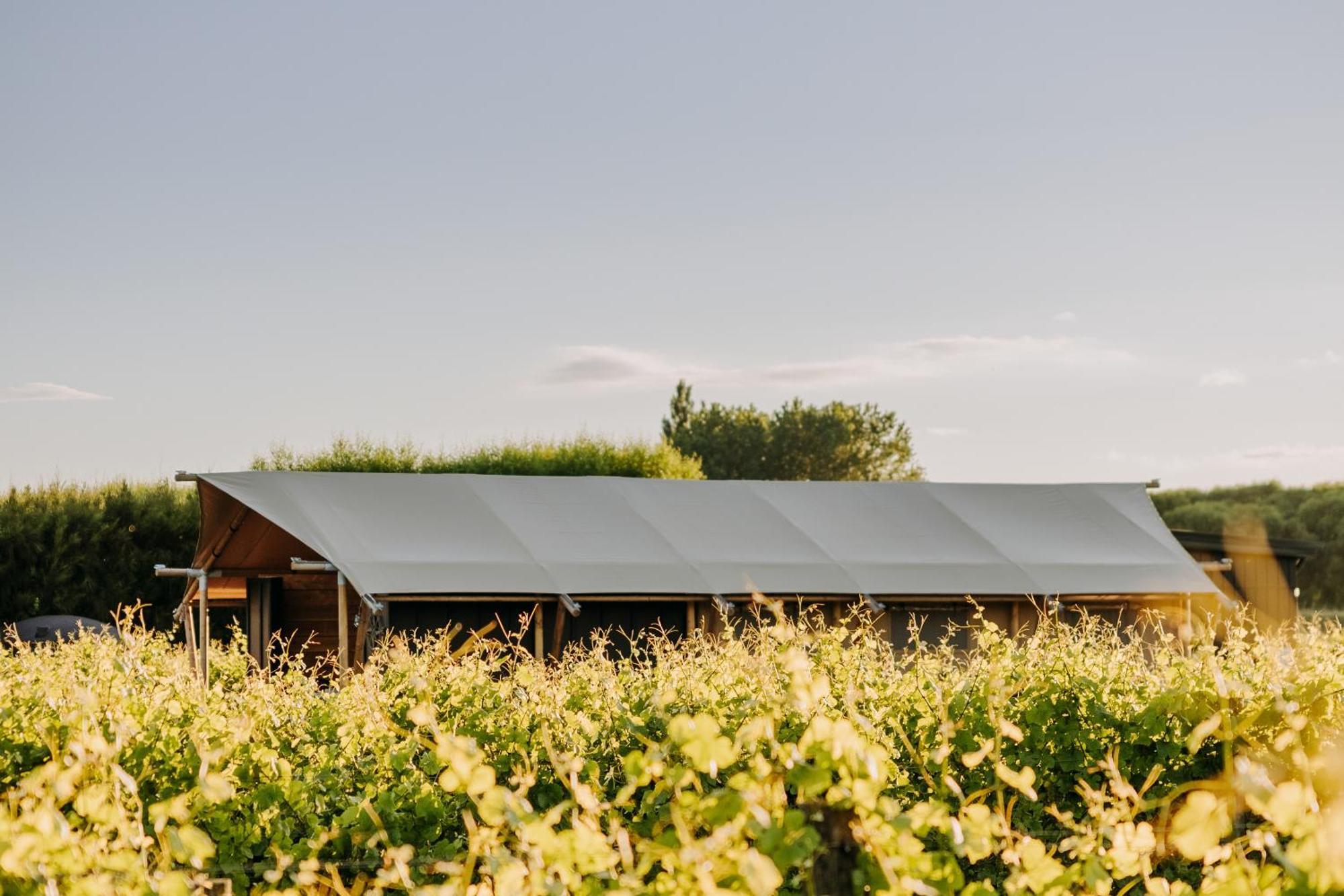 Villas & Vines Glamping Hastings Exterior foto