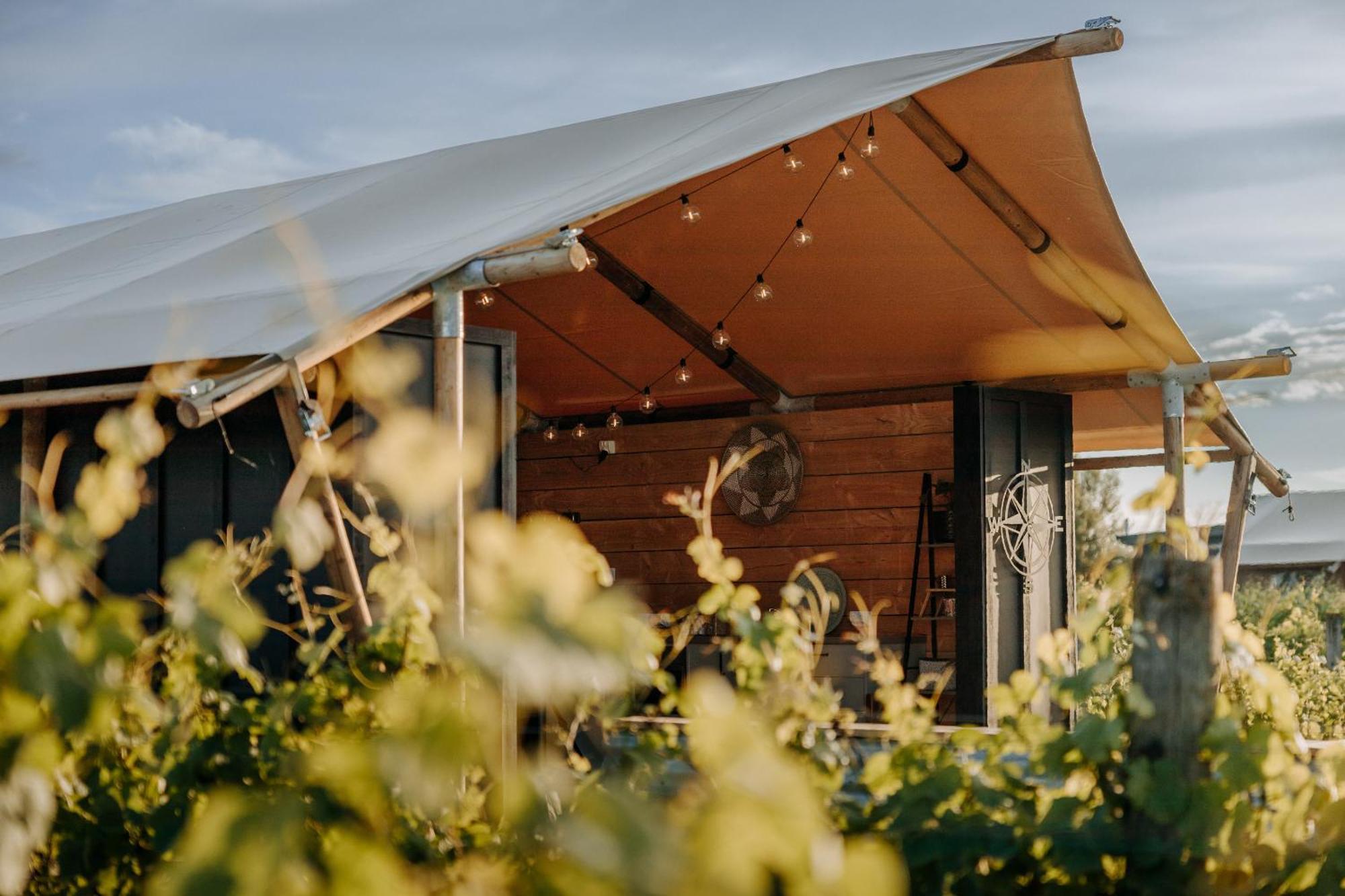 Villas & Vines Glamping Hastings Exterior foto