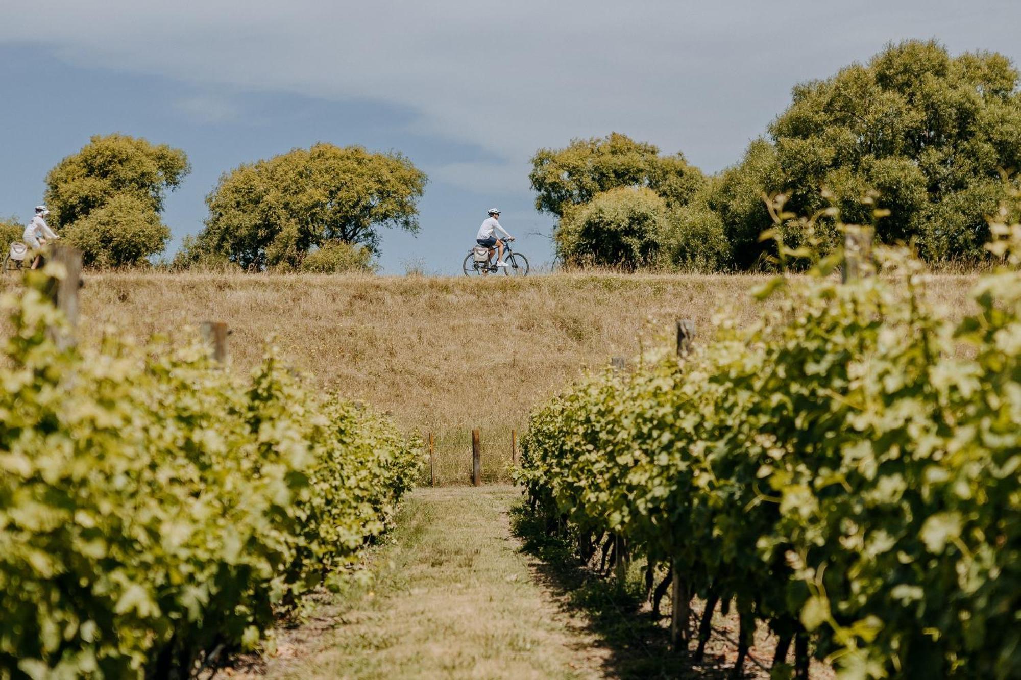 Villas & Vines Glamping Hastings Exterior foto